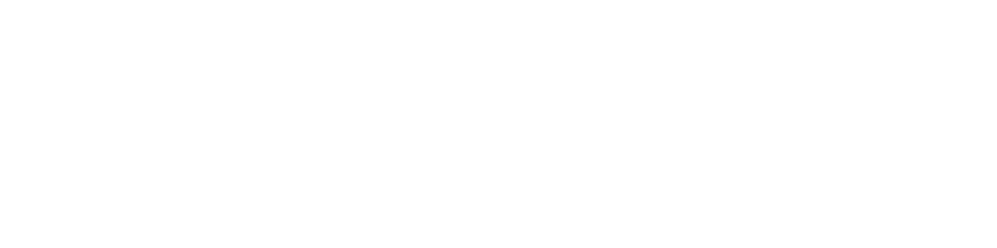New Vision Wilderness Logo