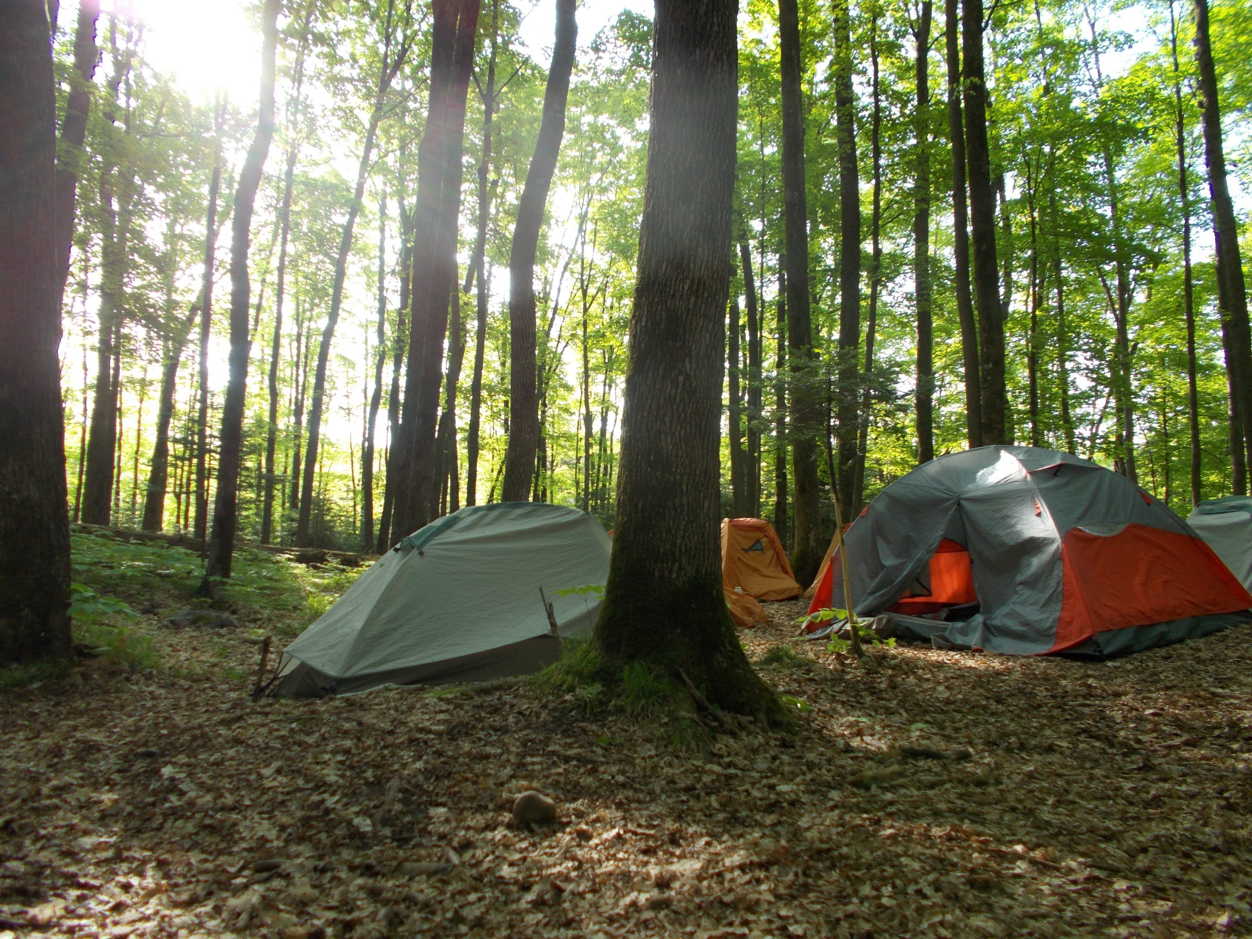 Tents 1